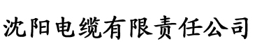 27fuli福利电影网电缆厂logo